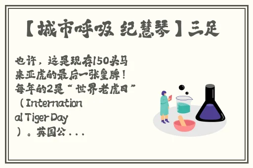 155FUN黑料官网奔溃